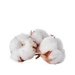 Soft Cotton