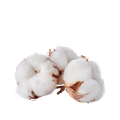 Soft Cotton