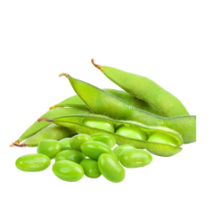 Soybean Oil