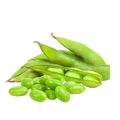 Soybean Oil